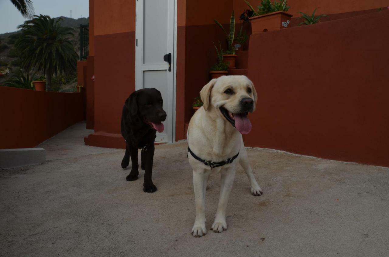Casa Camilo Guest House Vallehermoso Exterior photo